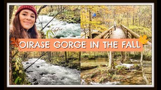 🍂OIRASE GORGE🍂 FALL EDITION | LAKE TOWADA | THE POISSANTS