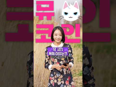 뮤코인, 고양이처럼 조용히 폭등중?!