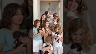 With seven kids and seven dogs…