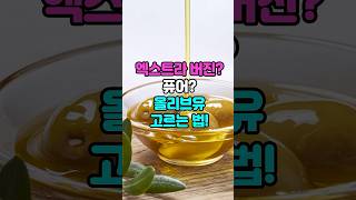 [Olive Oil] 엑스트라 버진? 퓨어? 올리브유 고르는 법!