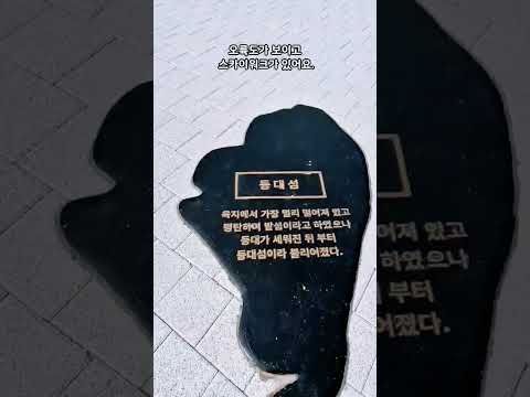 지금 부산 가면 여기 꼭 들리세요!!!#수선화개화 #오륙도해맞이공원 #스카이워크 #바다