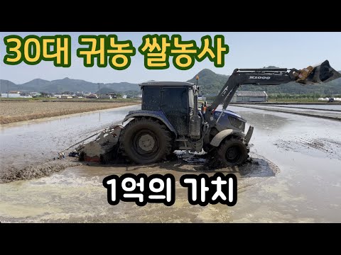 30대 귀농 쌀농사 1억 트랙터로 써레질 하면 무엇이 편한가? 이세키 TJW-1233 번지