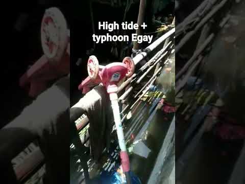 when high tide strike with typhoon #typhoonegay