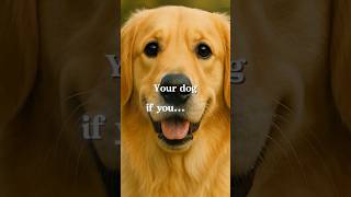 Your DOG! 🐶 #DogLovers #Pawfect #DogLife