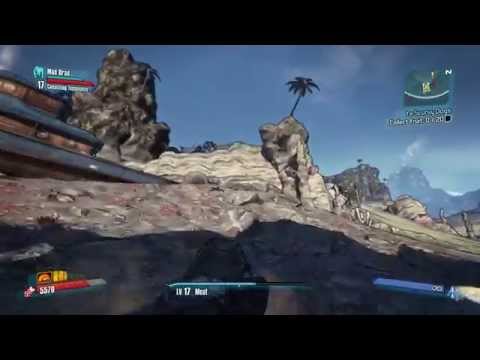 Toats Wild Ride