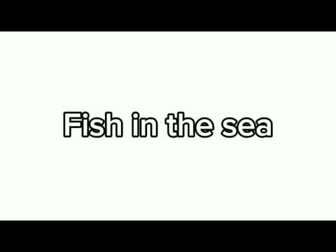 Fish in the sea