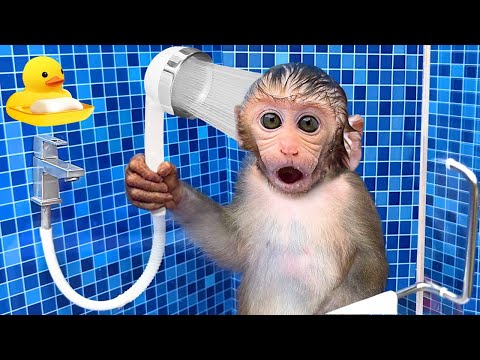 Macaco Bon Bon brinca na banheira mágica cheia de doces M&M com o macaquinho | BonBon em Português