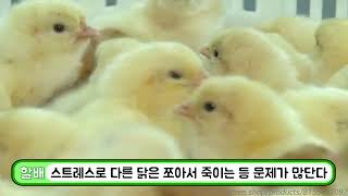 난각번호 2번을 먹어야 하는 이유