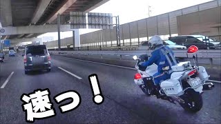 【1111万回再生】白バイ本気の加速が凄い