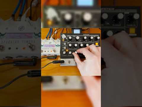 Hand switch for Specular Tempus + short JAM
