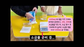 초등 29 월랑초 호시탐탐