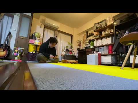 ドローンが観葉植物を破壊する動画