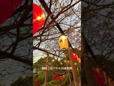 Mini vlog：台灣旅遊｜淡水天元宮．童話般的三色櫻&超美夜景｜Lilla 梨柆