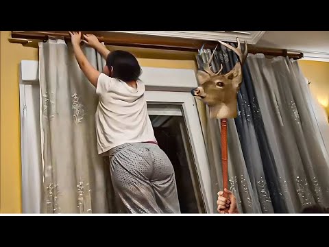 BEST SCARE CAM Priceless Reactions 2025😈#71| Funny Scare Cam 🤣| Jump Scare 😂|