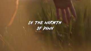 In The Warmth Of Dawn / Relaxing Pop #dawnvibes #morningrelaxation #peacefulmusic