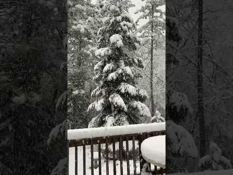 It’s Snowing