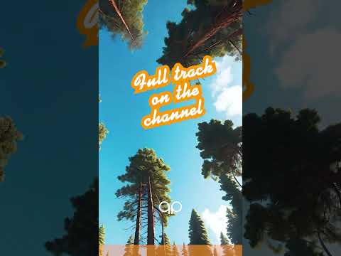 Whispering Pines | Chill Lo-fi for Summer Days #shorts