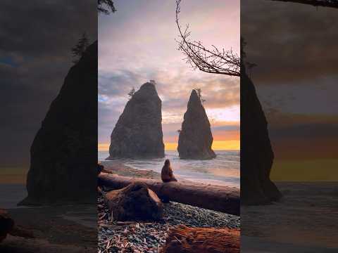 The beauty of the Pacific Northwest📍Forks, Washington, USA 🎥 @natyexplora #greatoutdoors #nature