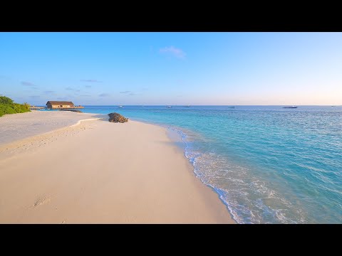 🏝 Beach View: 12 Hours of Maldives Ambience & Soft Ocean Sounds