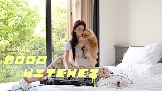 Chill Organic House Downtempo Mix | Sinitsa