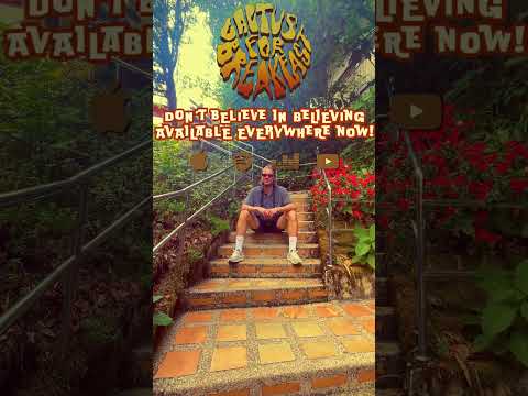 Don't Believe #newrock #newmusic #psychedelicrock #duet #music #bandlife #surfrock #funny