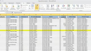 How to filter data in Microsoft Excel 2010