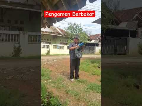Alat musik yang merdu dan menghibur#alatmusik