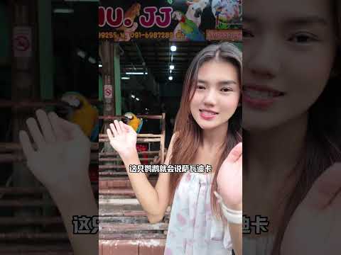 会说中文的泰国小姐姐带我逛曼谷的宠物市场！ 她说很想看熊猫！#泰国生活#泰国旅游  #宠物市场