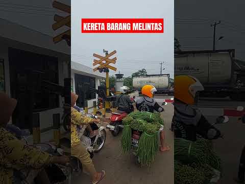 kereta barang melintas dan panjang