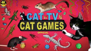 ULTIMATE CAT GAMES COMPILATION | BEST VIDEOS COLLECTION FOR FELINE FRIENDS | CAT TV 😻 4K 8 HOURS