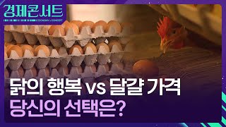 “넓은 닭장, 배부른 소리”…갈 길 먼 동물복지 [경제콘서트] / KBS  2024.11.21.
