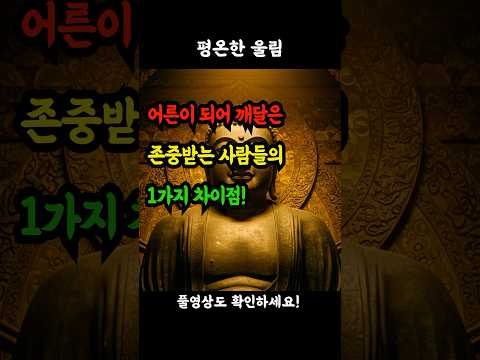 어른이 되어 깨달은 존중받는 사람들의 1가지 차이점! #존중 #인생조언 #시니어 #어른 #인간관계 #삶의지혜 #자존감 #매너 #예의 #인생경험 #성숙함 #어른스러움 #인격 #배려