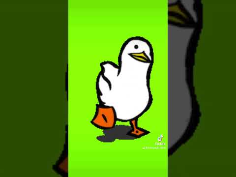 My video from TikTok!