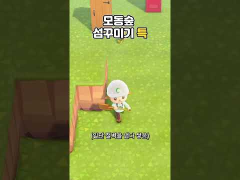 섬 꾸밀 때 나만 이래?ㅋㅋㅋ 모동숲 섬꾸 특징