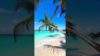 Tropical Beach View #BeachVibes #TravelInspo #TropicalEscape