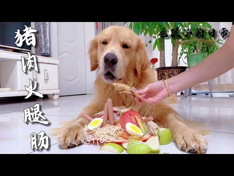 【毛孩子的日常】毛孩兒：今天我吃豬肉火腿面#萌宠#可爱 #可爱到爆炸 #狗子#干饭 #干饭狗的日常 #干饭王 #funny #搞笑