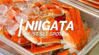 All about Niigata-Must see spots in Niigata | Japan Travel Guide