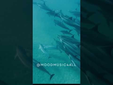 🏖️ Gentle Waves & Chill Music for Your Soul