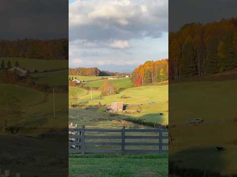 Virginia is for fall lovers 🍁,countryside living, & endless autumn views!😍🧡🍂 #countryroads #fall