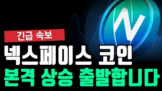넥스페이스 코인 본격 상승 출발 합니다