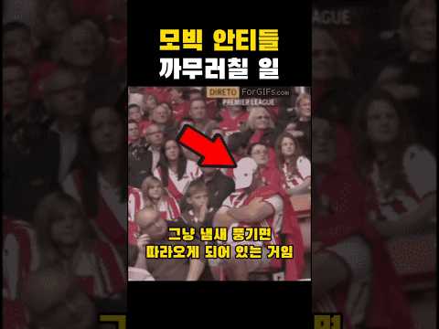 모빅 안티들 까무러칠 일  #모블코인프로젝트