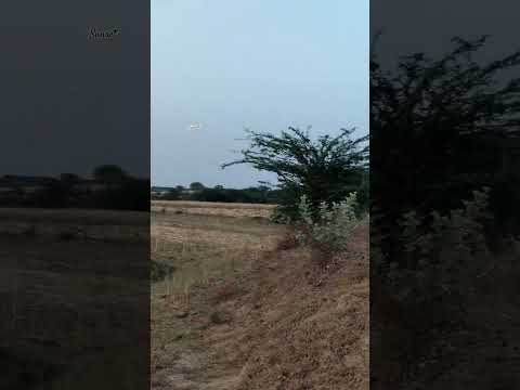 SUNSET IN VILLAGE.. #uttarpradesh #shortsvideo #viralshorts