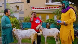 Rana Ijaz Funny Video | Rana Ijaz New Video | Standup Comedy Of Rana Ijaz #comedy #funny