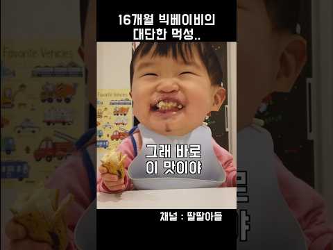 세상 가장 행복한 과일 먹방