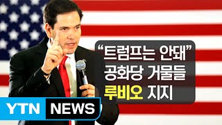 "트럼프는 안돼" 잇따르는 루비오 지지 선언 / YTN