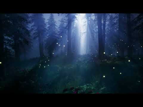 A Night to Remember: Melodic Bliss for Sleep & Study | Lo-Fi Learners