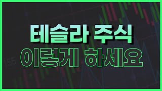 테슬라 실적 발표 이후 전망