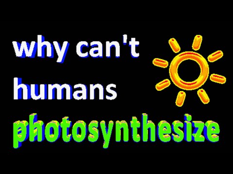 why cant humans photosynthesize