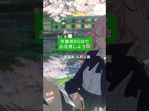 作業用BGMでお花見しませんか？ #shorts #BGM #chill  #animation  #anime