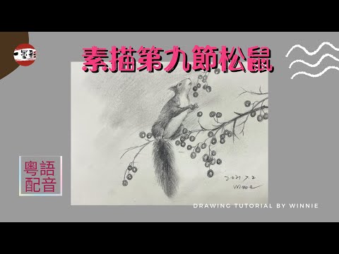 Weekly drawing practice #9 粵語配音 松鼠 素描課程【9】 松鼠 Squirrel